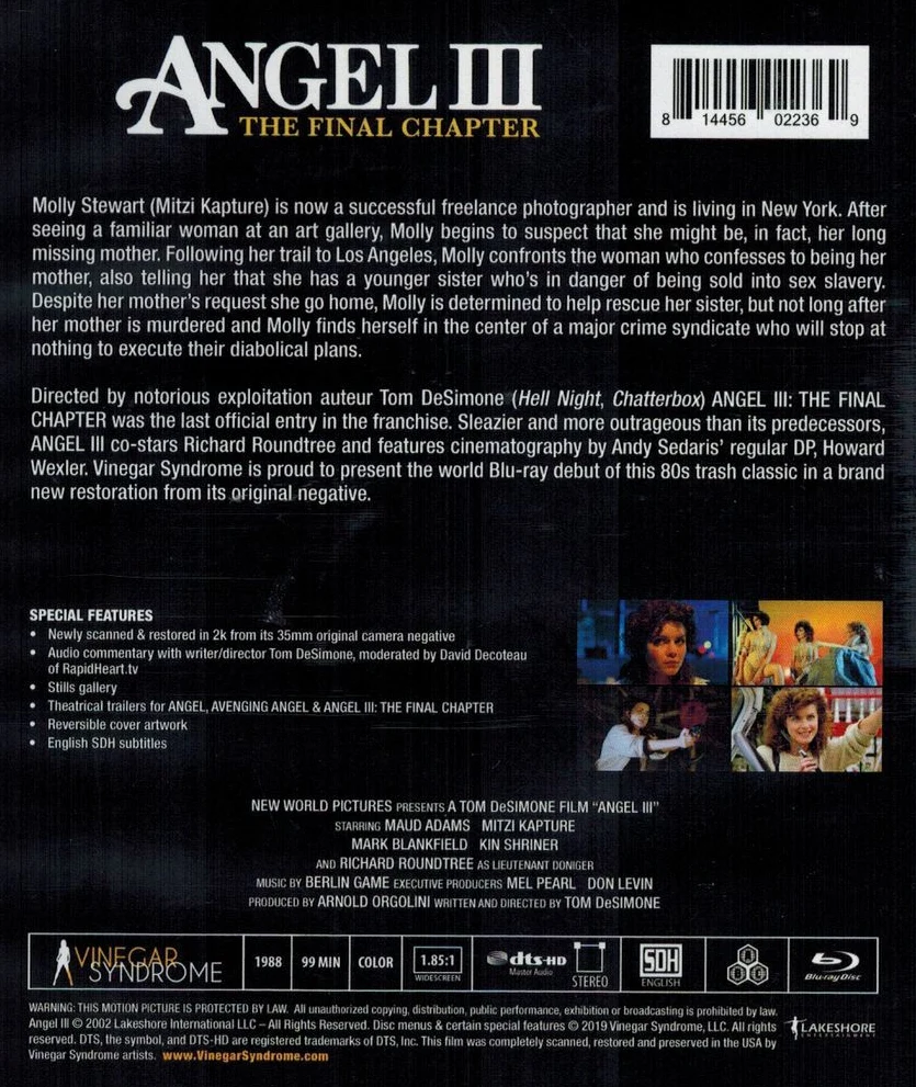 Angel 3 - paluu enkelten laaksoon - Angel III: The Final Chapter (Blu-ray) Vinegar Syndrome