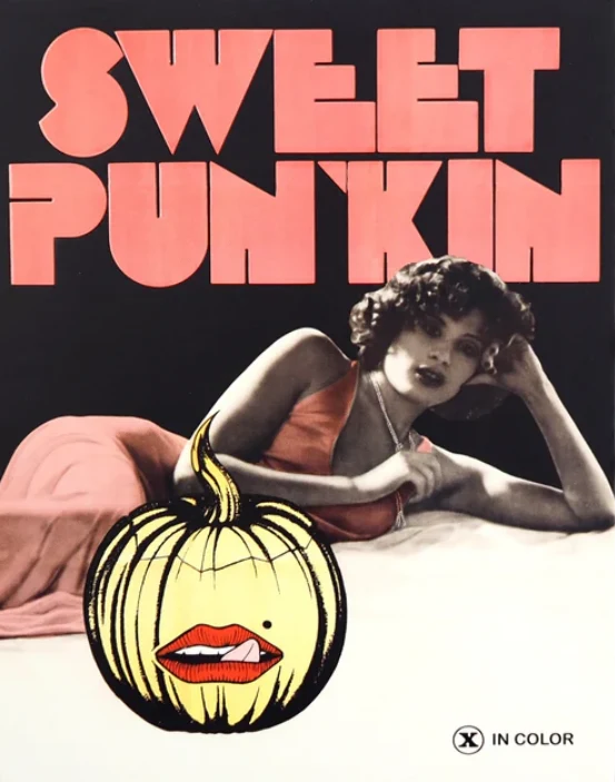Anyone But My Husband / Sweet Punkin (Blu-ray) (Slipcover) Vinegar Syndrome Exclusive | Limited Edition of 3,000