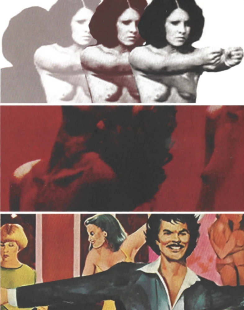 Vixens of Kung Fu + Night Bird + Sunny - Limited Edition Slipcover (Blu-ray) Peekarama