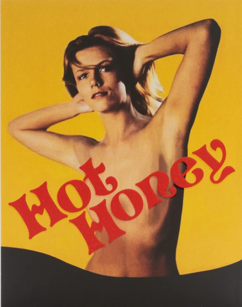 The Violation of Claudia + Hot Honey - Limited Edition Slipcover (Blu-ray) Vinegar Syndrome